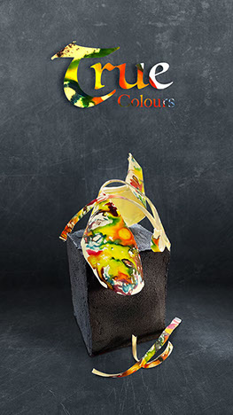 True Colours, Diversity Torte