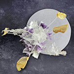 Zitronentorte Anschnitt